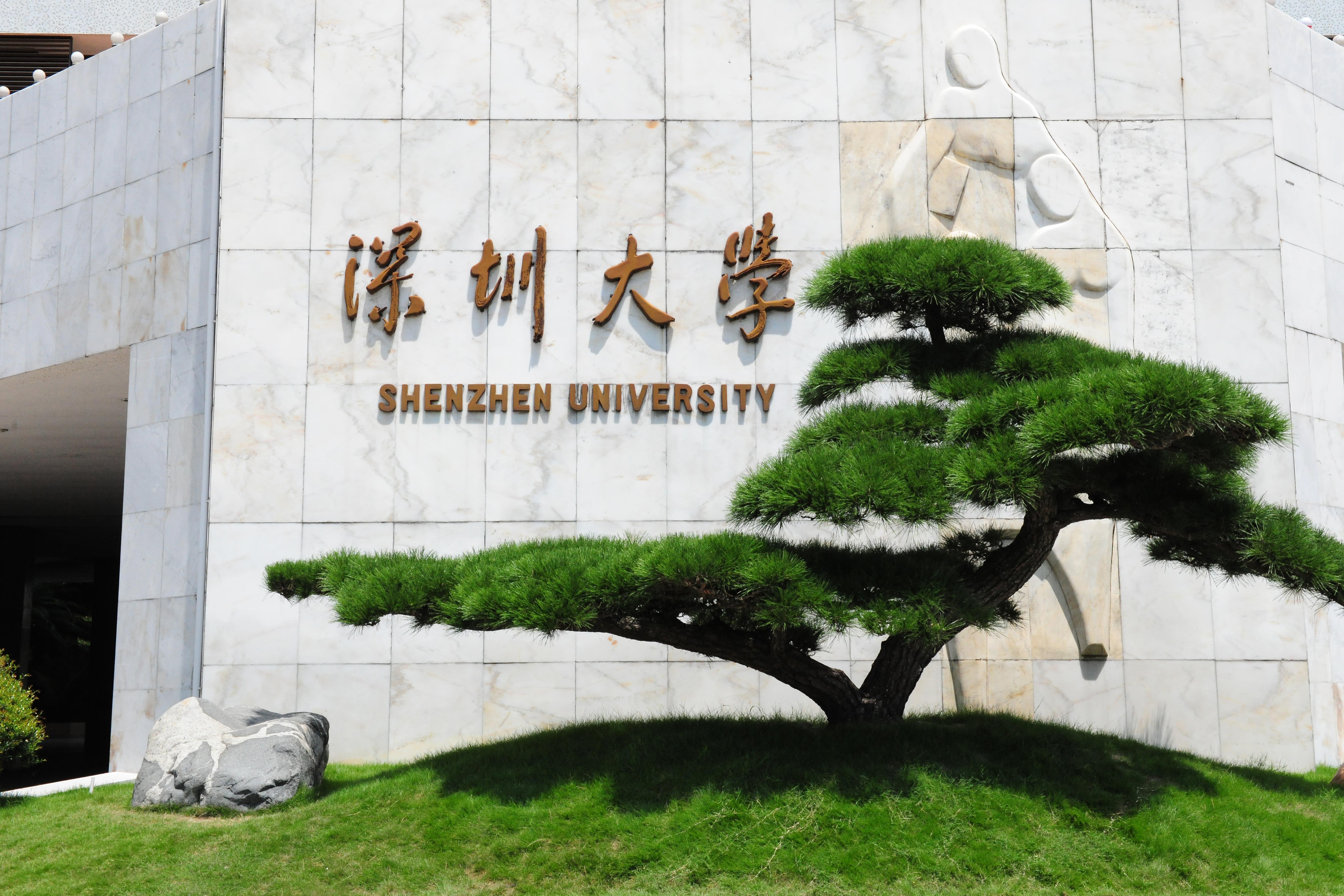 喜報：我校藝術學部榮獲深圳市傳統音樂文化教育女職工創新工作室示范點
